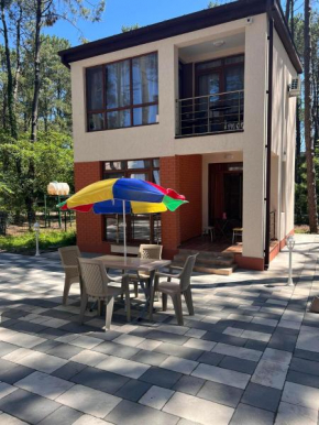 Villa Premium Shekvetili